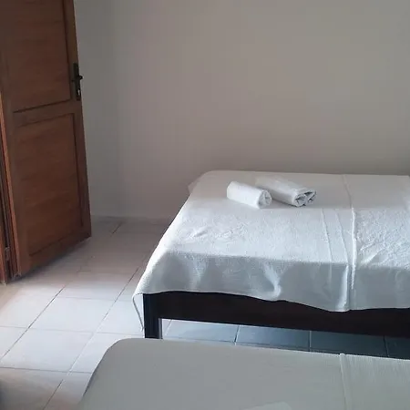 Delfin Bodrum