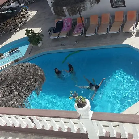 Delfin 3*