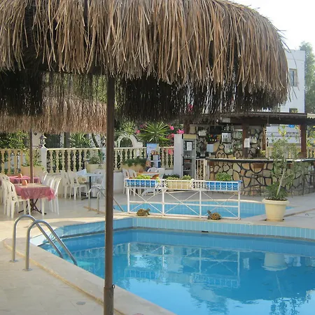 Delfin Bodrum