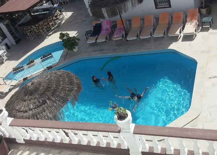 Delfin 3*