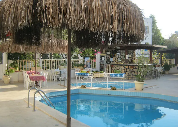 Delfin Αλικαρνασσός