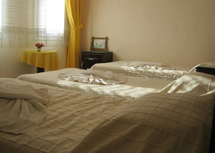 Delfin فندق بودروم